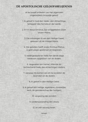12 Artikelen